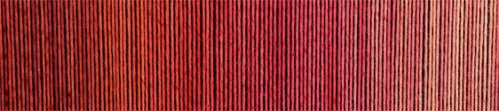 Zauberball ® Cotton 2338 Echte Abwechslung