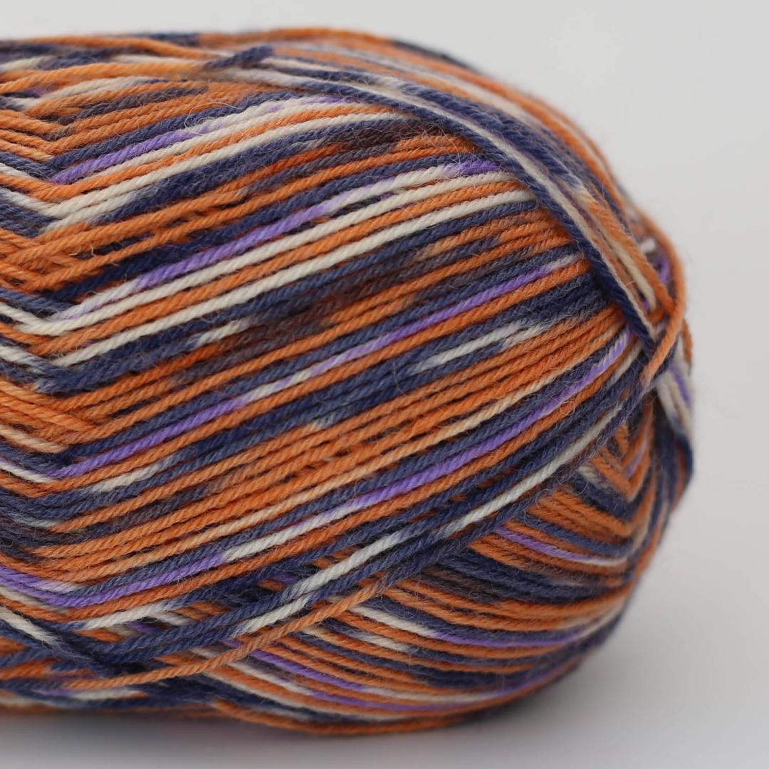Arne & Carlos Sock & More 4ply - 3861