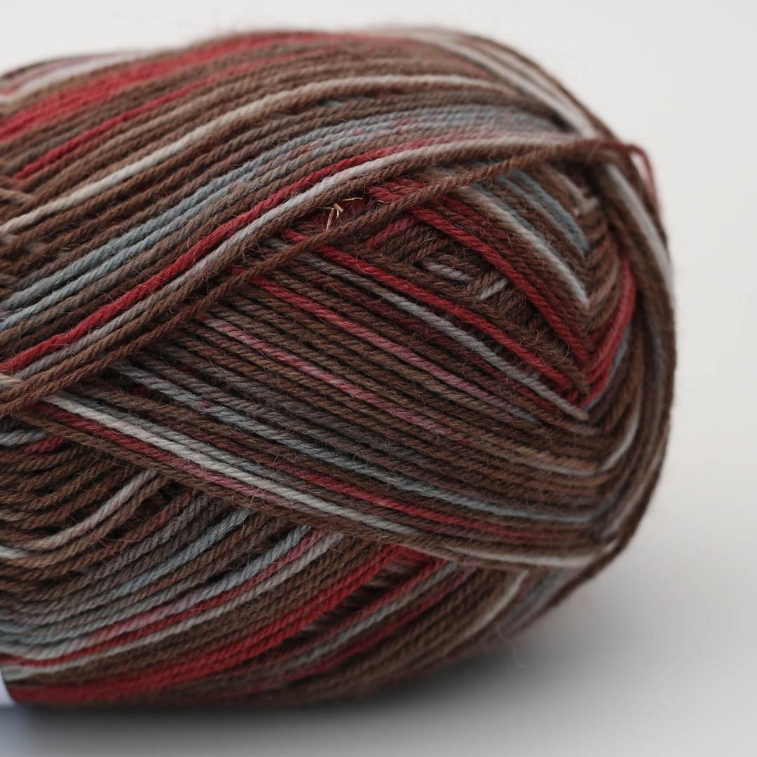 Arne & Carlos Sock & More 4ply - 7028