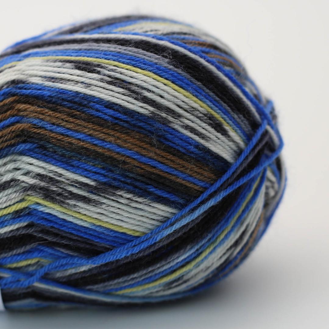 Arne & Carlos Sock & More 4ply - 2460