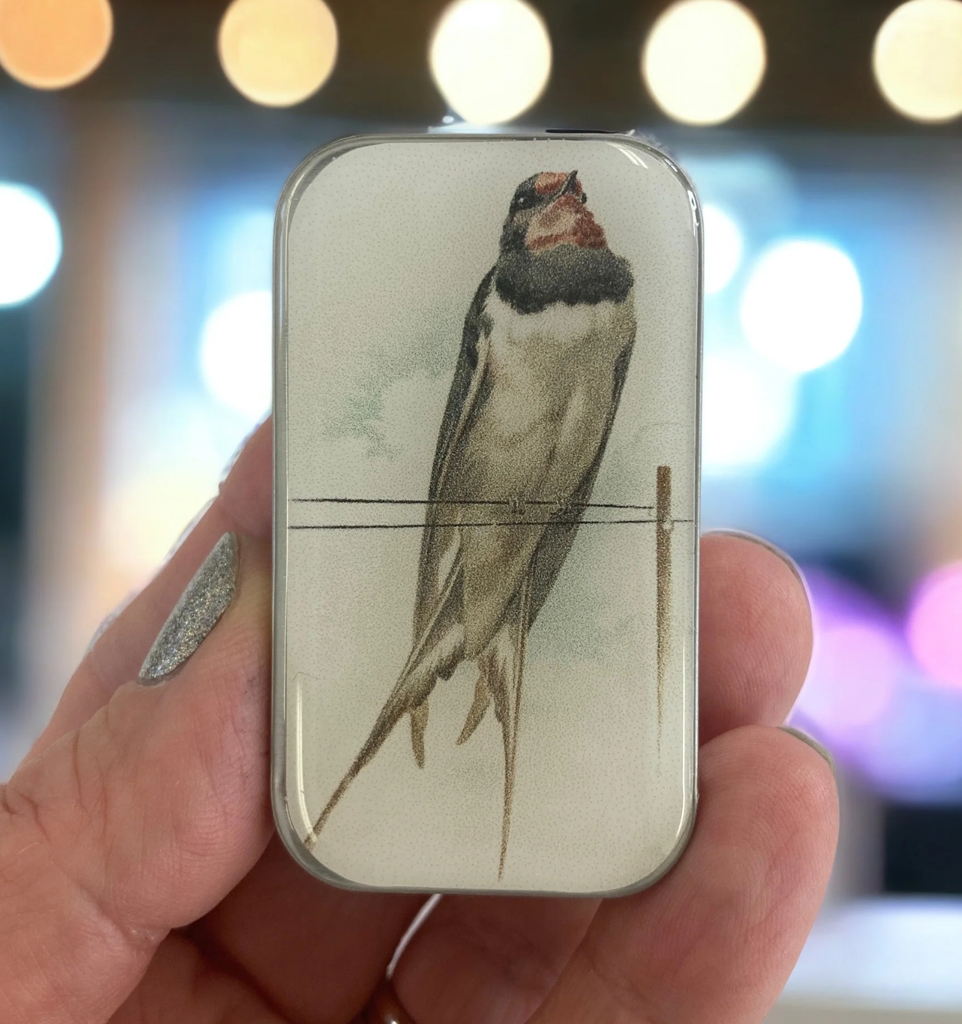 Krabička na pomůcky malá - Swallow