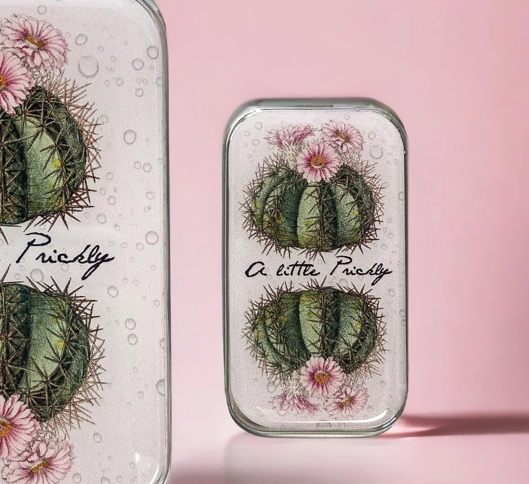 Krabička na pomůcky malá - Cactus