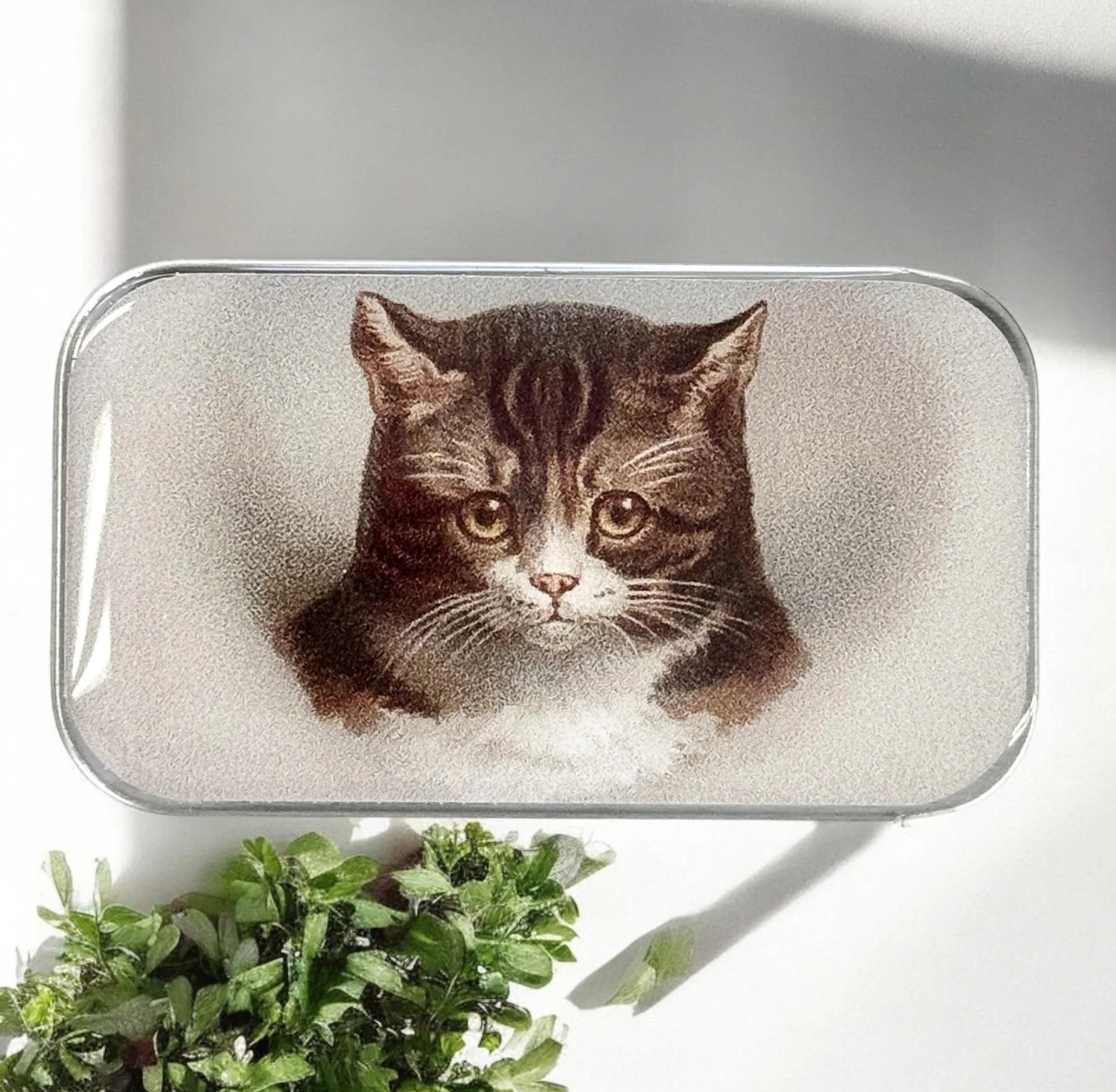 Krabička na pomůcky malá - Cat Face