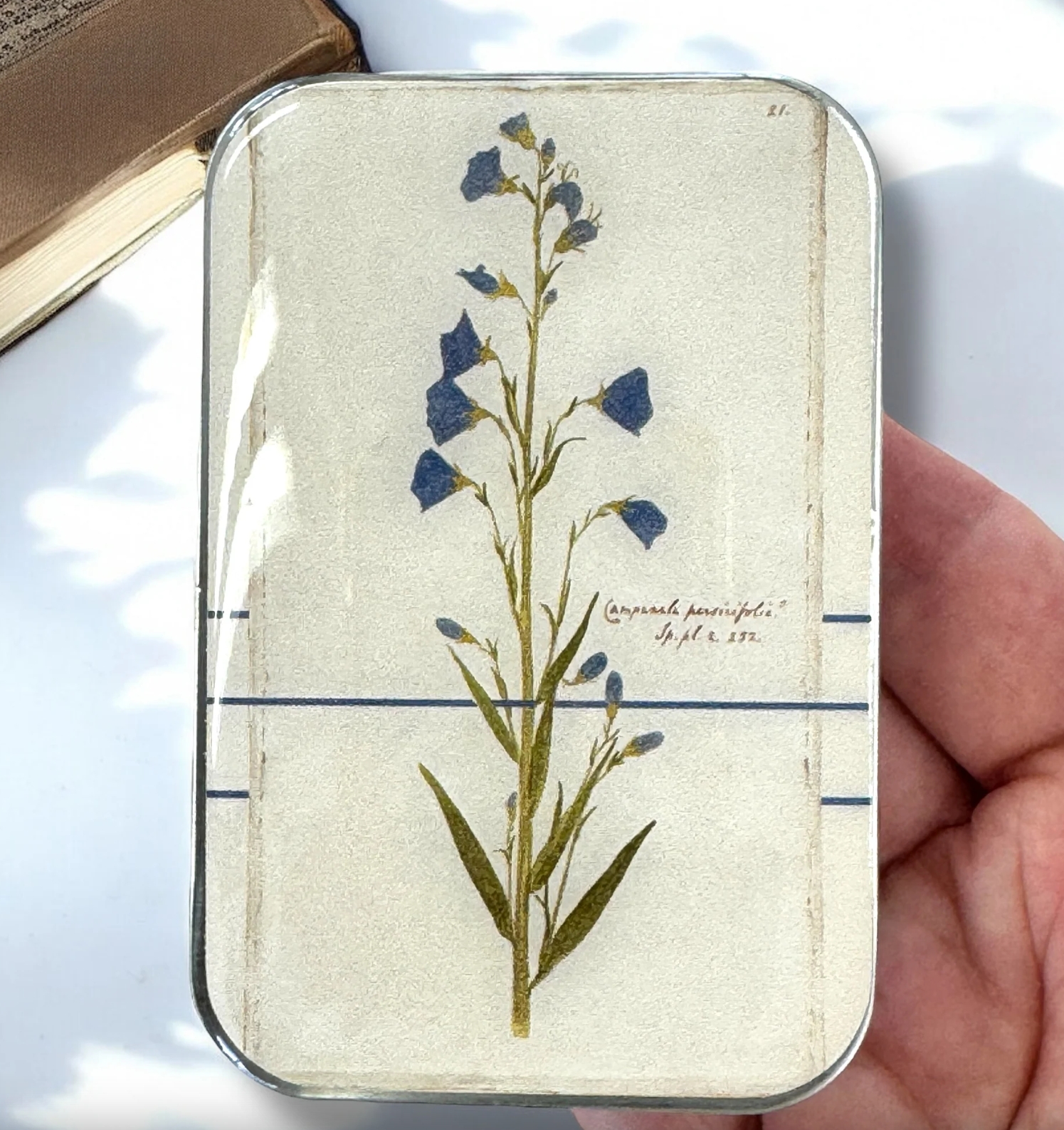 Krabička na pomůcky velká - Bellflower