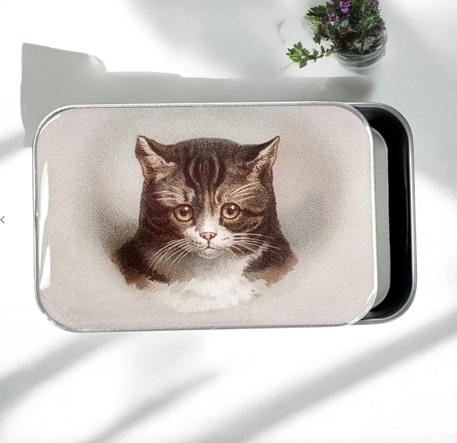 Krabička na pomůcky velká - Cat Face