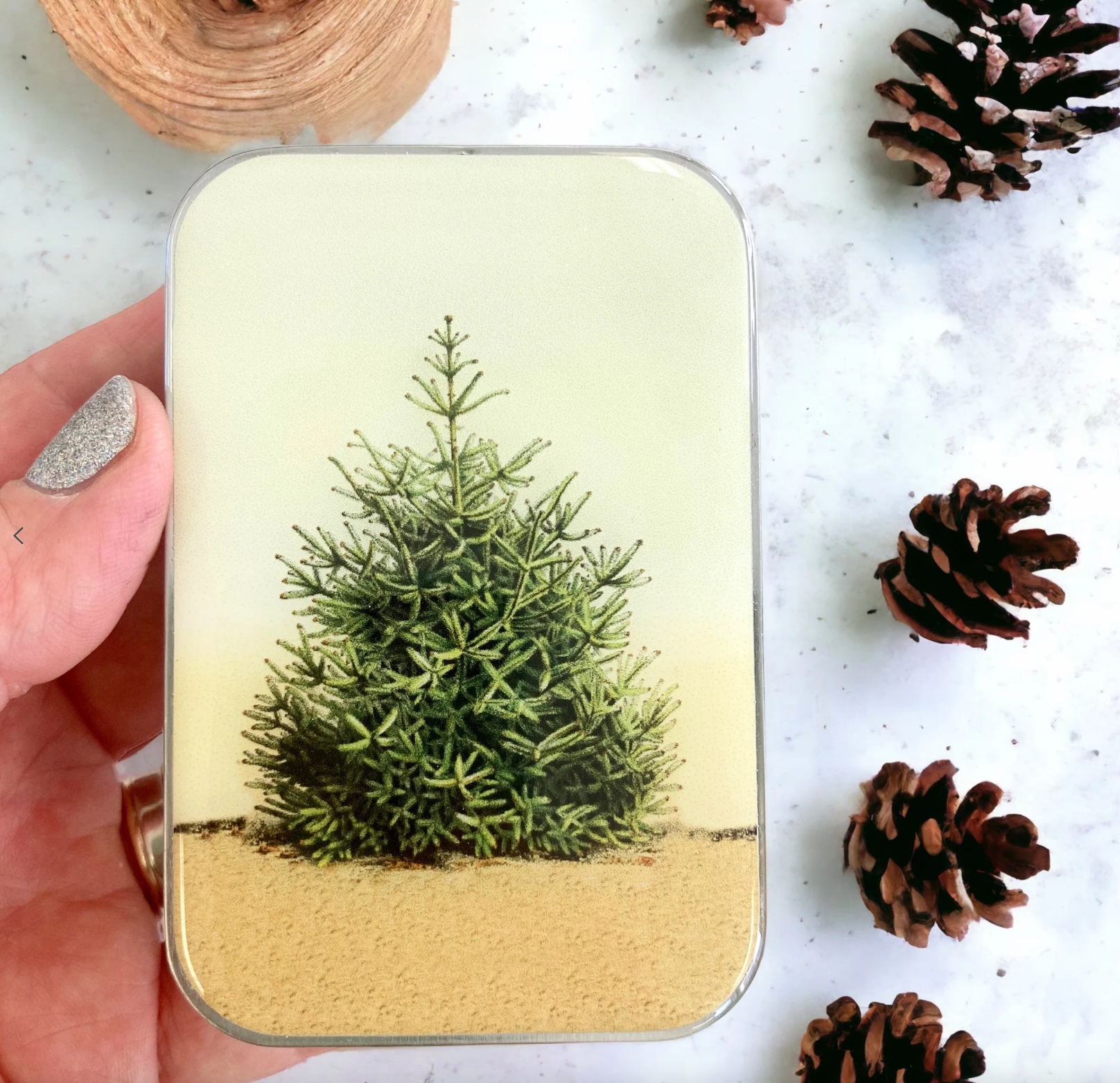 Krabička na pomůcky velká - Pine Tree