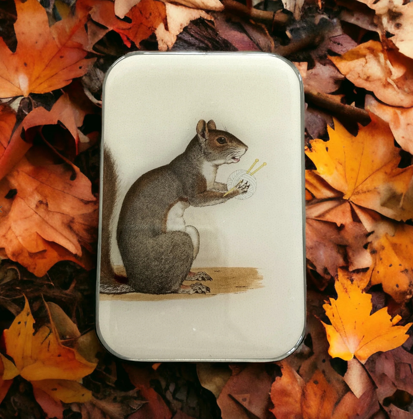 Krabička na pomůcky velká - Yarn Squirrel