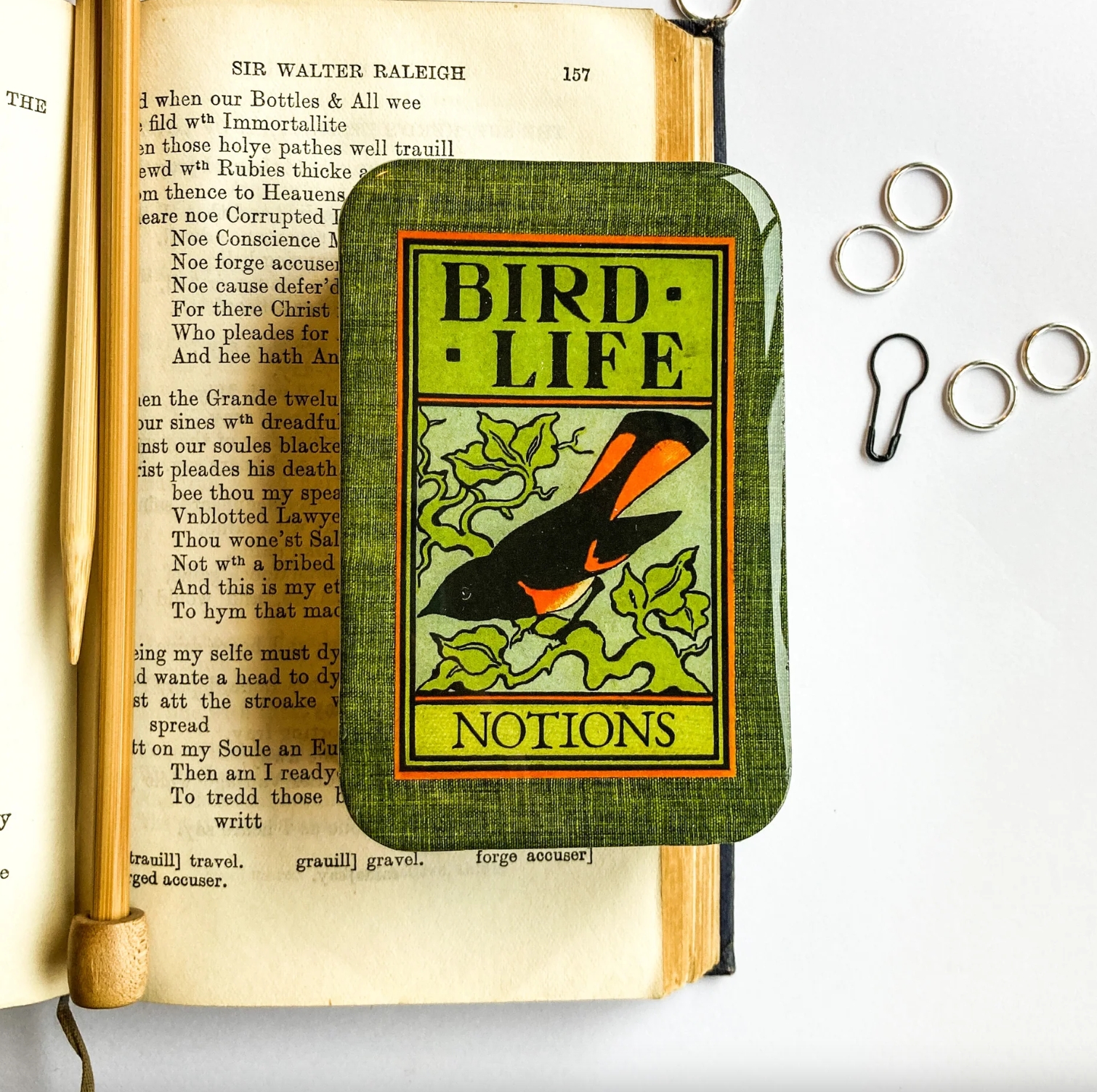 Krabička na pomůcky velká - Bird Life