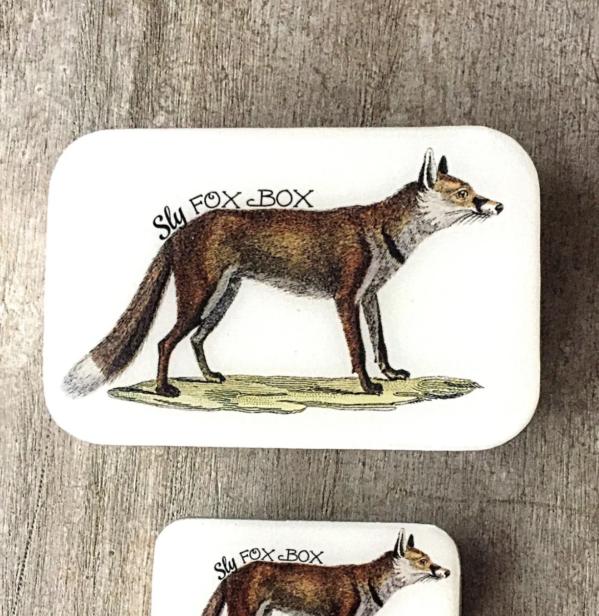 Krabička na pomůcky velká - Sly Fox