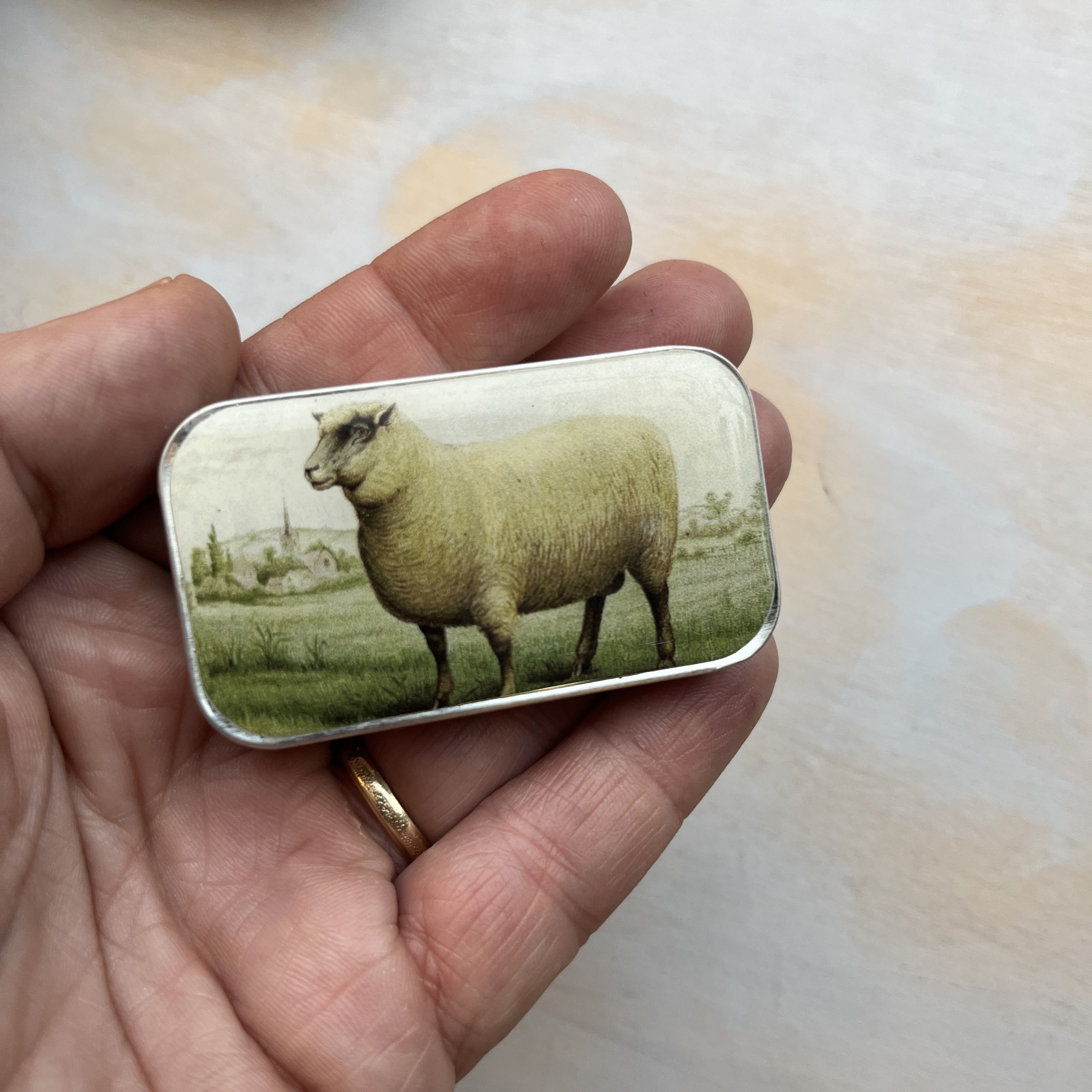 Krabička na pomůcky malá - Vintage Sheep