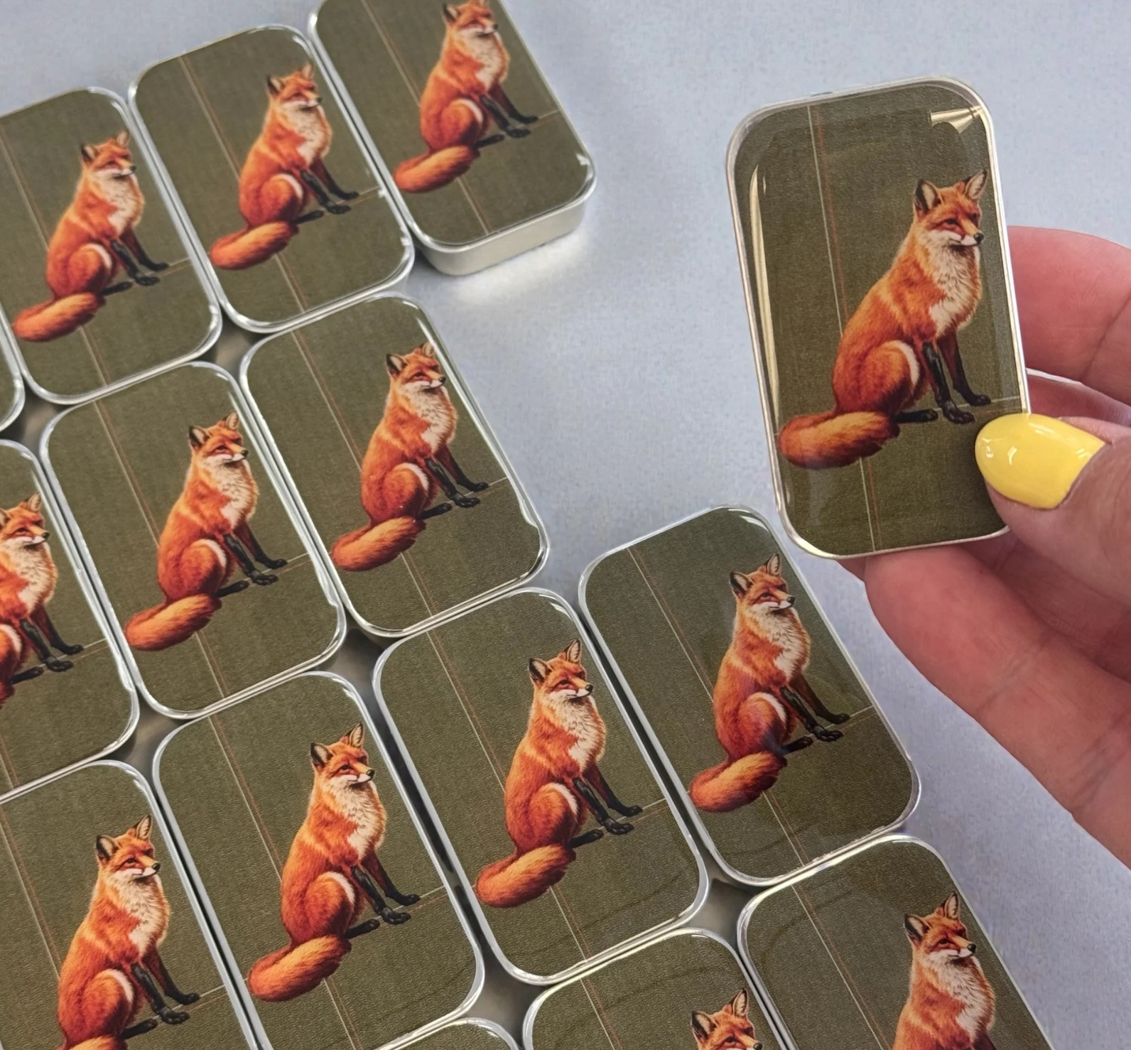 Krabička na pomůcky malá - Fox