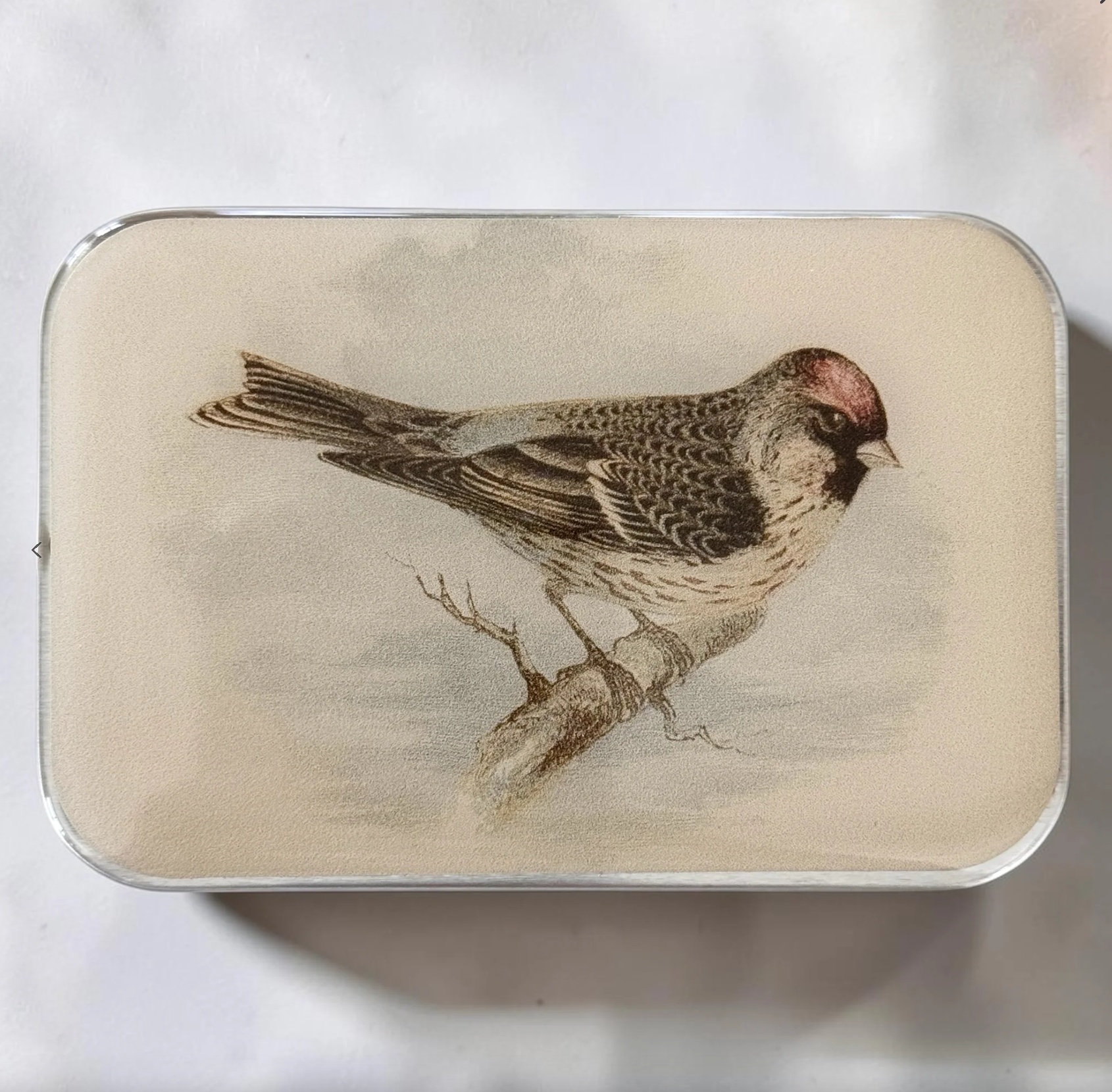 Krabička na pomůcky velká - Redpoll Bird