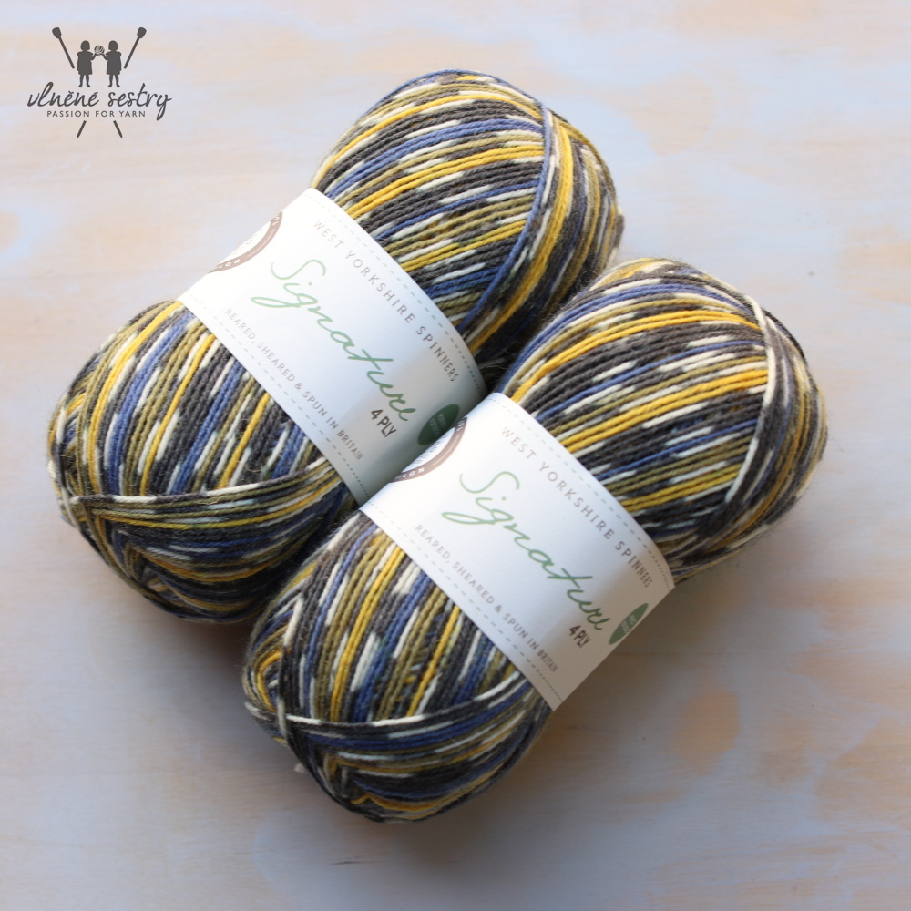 Signature 4 Ply - Blue Tit