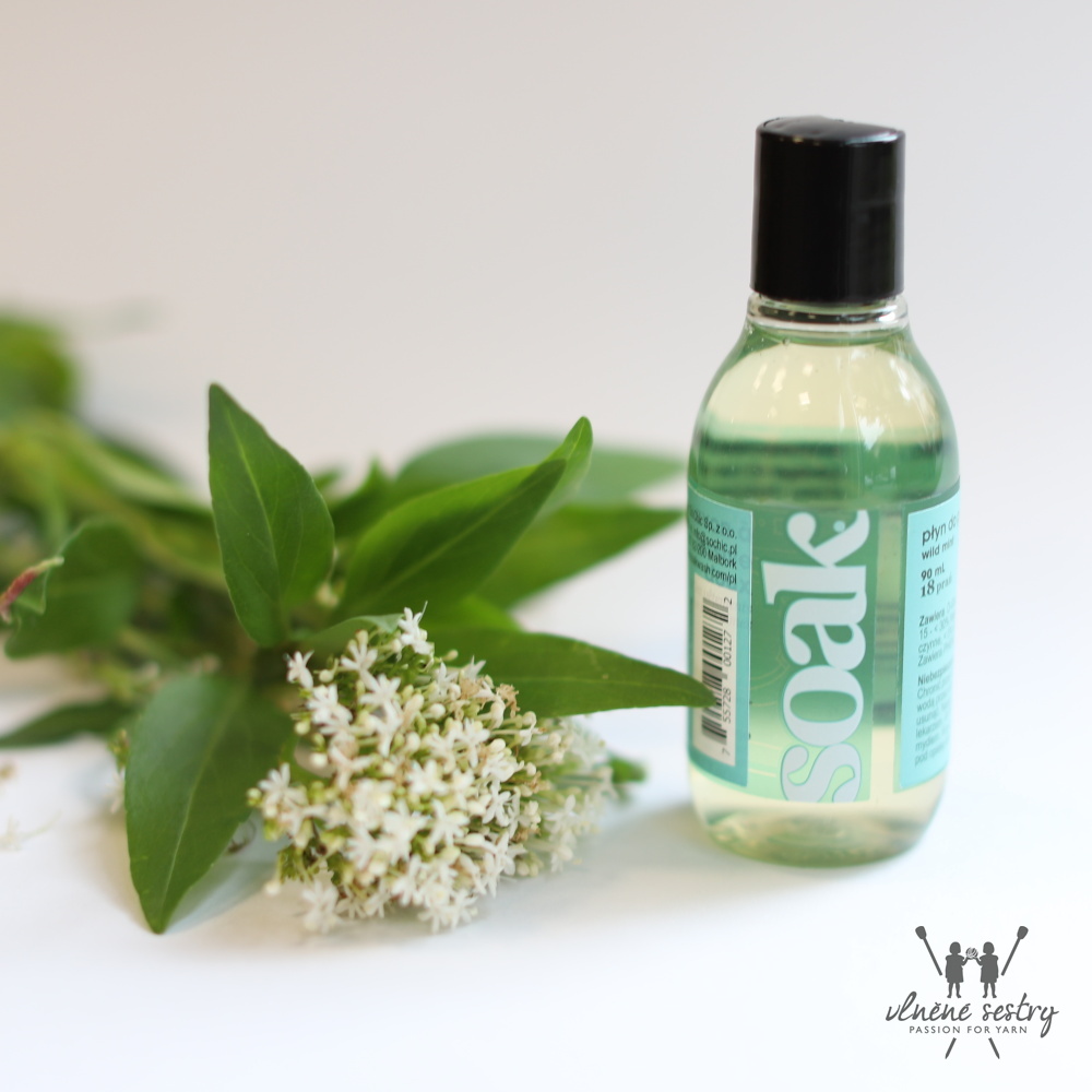 Soak Wash - Wild Mint - 90 ml