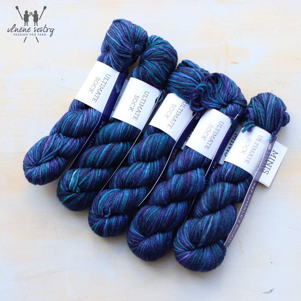 Ultimate Sock Minis - Whales Road