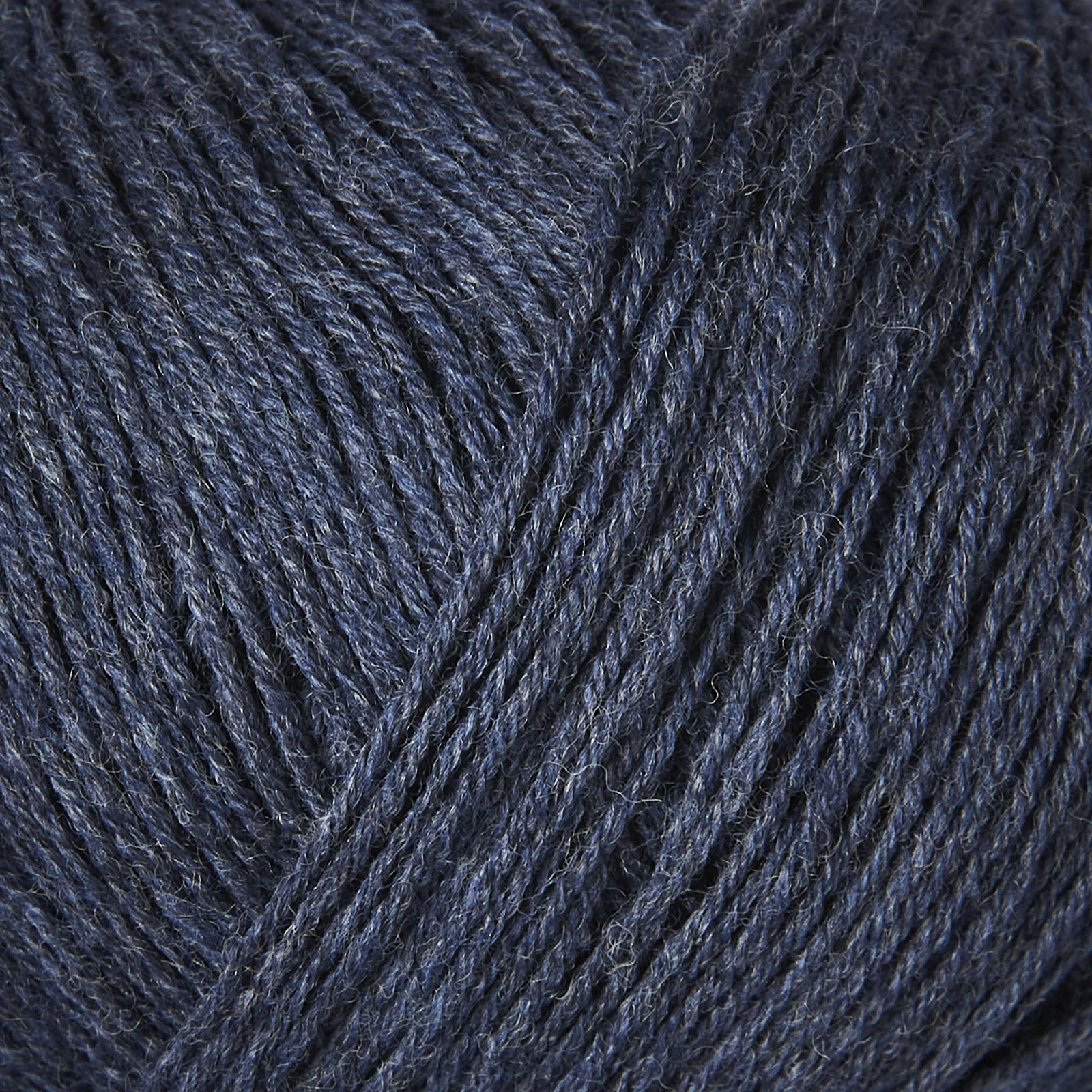Merino - Blue Whale