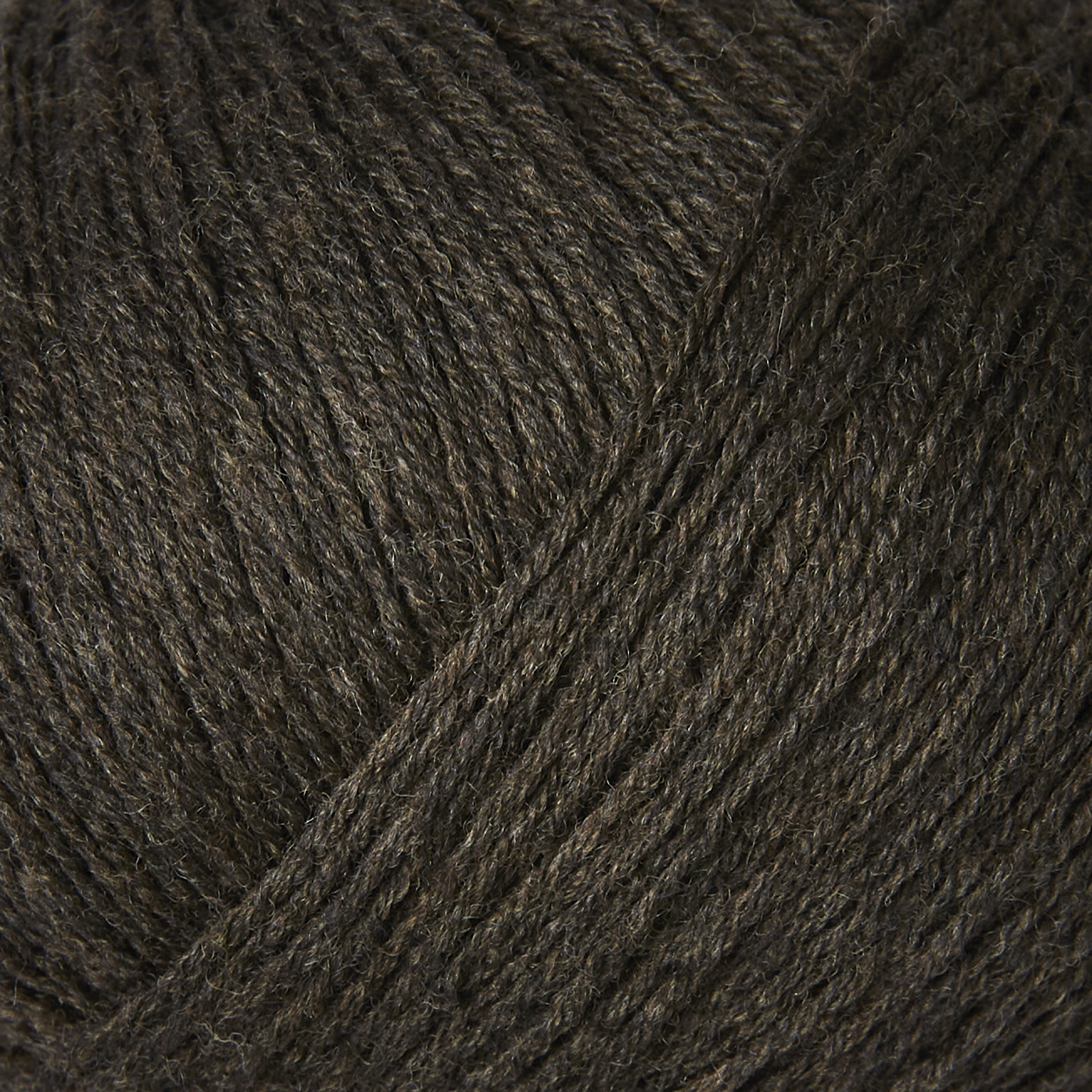 Merino - Brown Bear