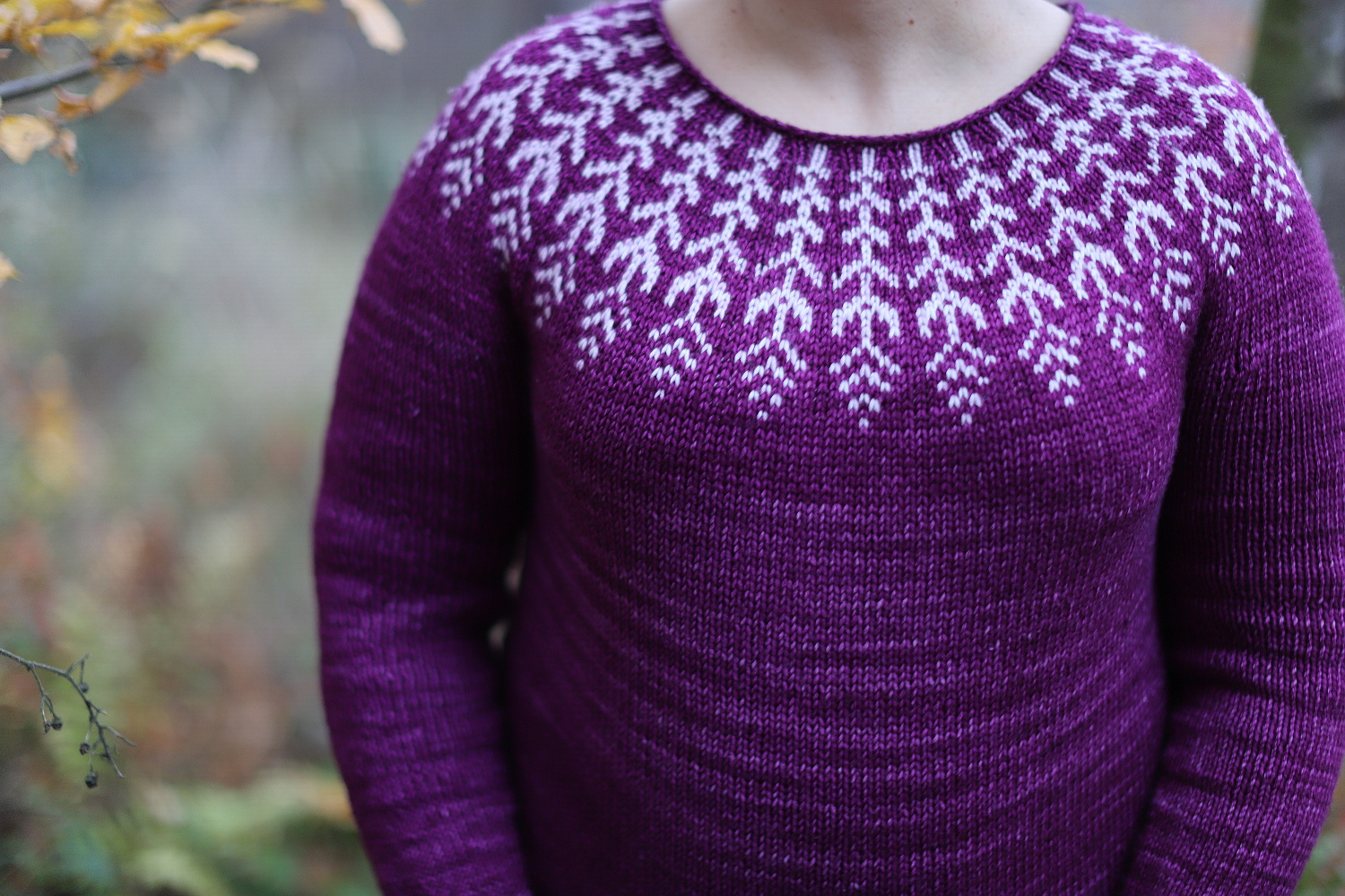 Malabrigo Rios 148 Holly Hock 02