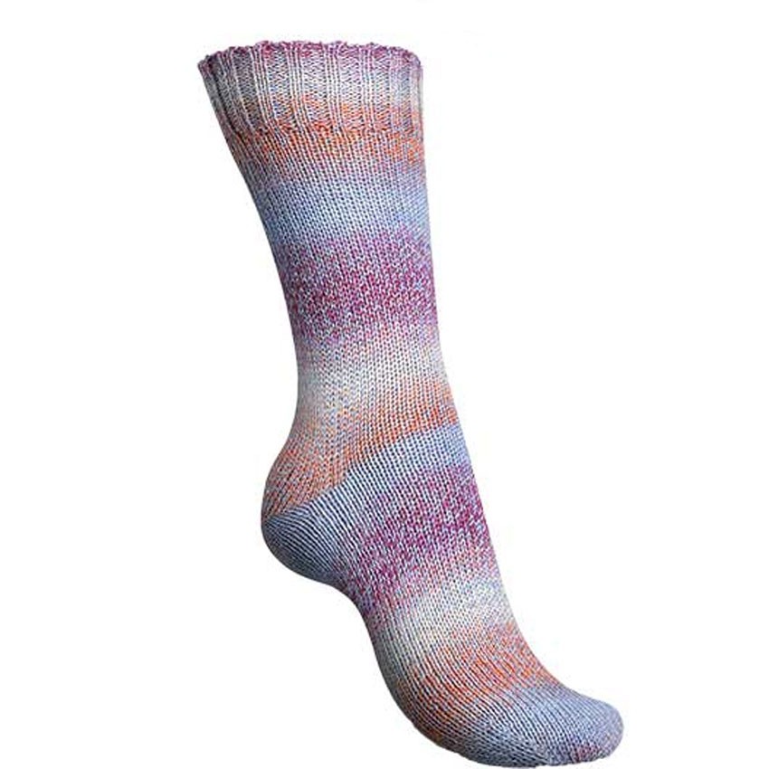 Regia Colour Line 6813