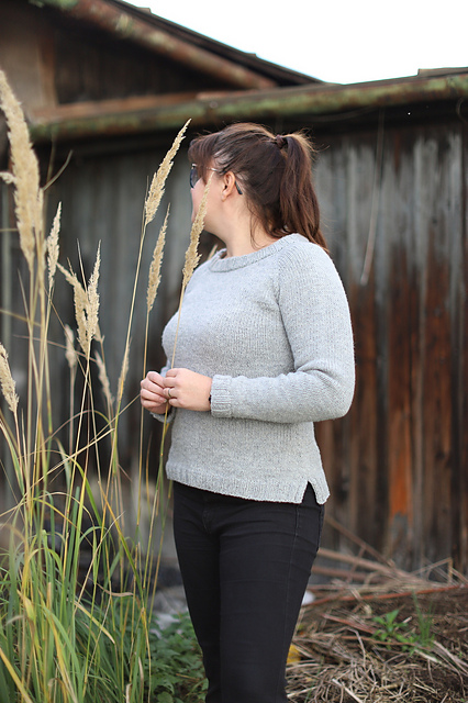 Basic Worsted Raglan