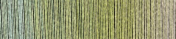 Zauberball ® Cotton 2341 Junges Gemüse